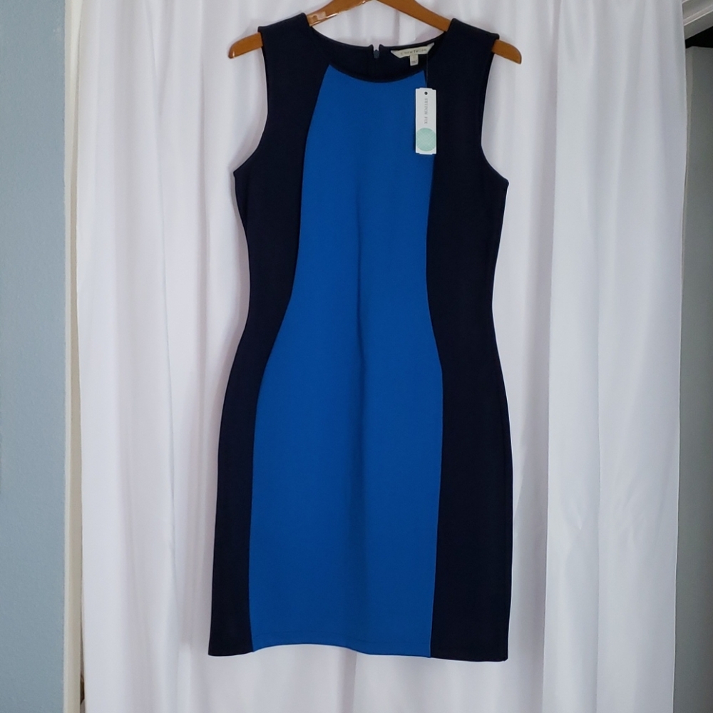 Blue color clock sheath dress